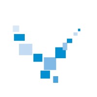 Vorsevi logo - Similar company to Geocell Ms