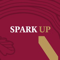 Spark UP logo - Similar company to Spark Up