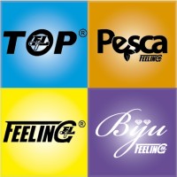 Most Feeling International LTDA logo - Similar company to Essenfelder
