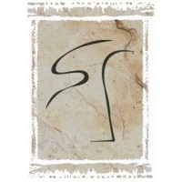 The Stern Center for Aesthetics logo - Similar company to Peak Performance & Prevention, Llc