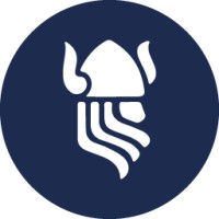 VIKINGLEADS logo - Similar company to Walljar.Com