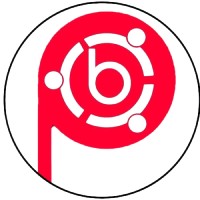 Primebrains Limited logo - Similar company to Line Πlanet