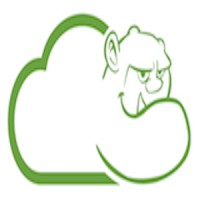 CloudOgre.com logo - Similar company to Mine2