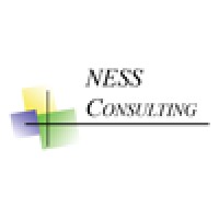 Ness Consulting Limited