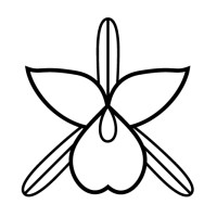 White Orchid Interiors logo - Similar company to Rocky Mountain Creative