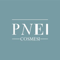 PNEI Cosmesi logo - Similar company to Drylock Technologies S.R.L.