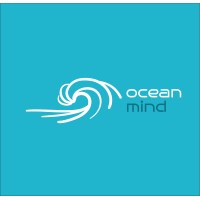 Ocean Mind - Therapeutic Surfing logo - Similar company to Aishaindustries