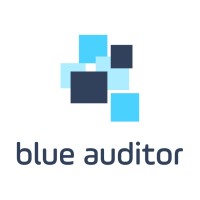 blue auditor logo - Similar company to Buildee