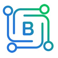 Binjaratech IT Solutions Pvt Ltd logo - Similar company to Amvision Technologies