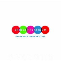 Bridget Platinum Insurance Brokers Limited logo - Similar company to Ziingo