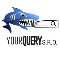 Your Query - комплексные решения в маркетинге, продажах и It logo - Similar company to Smartdigitalregional