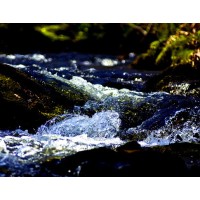 Fastbrook Fund