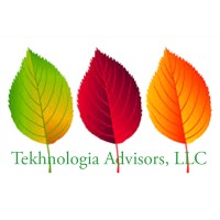 Tekhnologia Advisors logo - Similar company to Tekhnologia