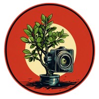Philippines Sustainable Film Studios logo - Similar company to Space Io