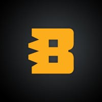 Blitzpools logo - Similar company to Cricplay