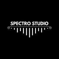 Spectro Studio logo - Similar company to Camden Records