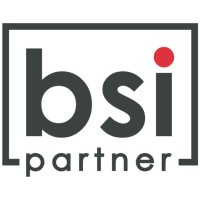 bsi partner ag logo - Similar company to Aim Consulting Sa