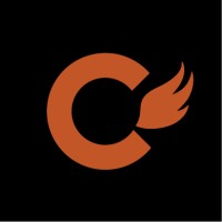 Copperwing Content logo - Similar company to Doctor Directory Solutions