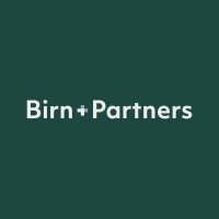 Birn+Partners logo - Similar company to Searcher