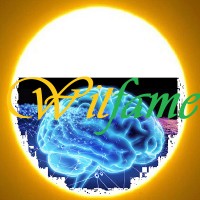 witfame logo - Similar company to Tracexpert Limited