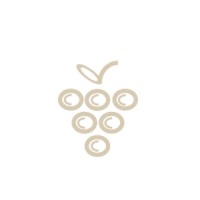 Il Vino Piemonte logo - Similar company to Morse Manufacturing Co., Inc.