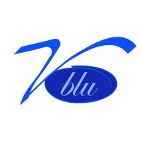 Visions Blu Institute