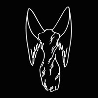 Carlos Nunes Advogado logo - Similar company to Up-Hr - Tu Gerente De Rrhh Externo