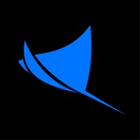 VAS Experts logo - Similar company to Udv Group