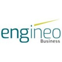 engineo.business logo - Similar company to Engineous Software