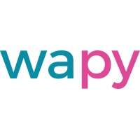 wapy logo - Similar company to Wapy