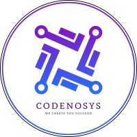 Codenove Systems logo - Similar company to Intellecta Inc