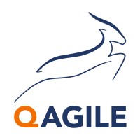 QAgile logo - Similar company to Decex