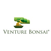Venture Bonsai logo - Similar company to Stingbase