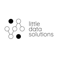 Little Data Solutions logo - Similar company to Aldron Analytics & Consulting Llc