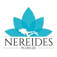 NEREIDES PLONGEE logo - Similar company to Ashka Studio