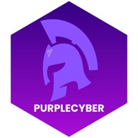 Purple Cyber logo - Similar company to Bni Taguig (Region Of Bni Philippines)