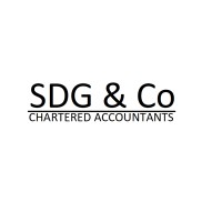 SDG & Co Chartered Accountants logo - Similar company to Cdims