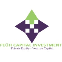 Feuh Capital Invest LLC logo - Similar company to Aigle Bleu