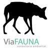 ViaFAUNA logo - Similar company to Devopsgo