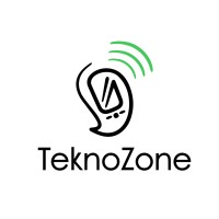Teknozone logo - Similar company to Bytecno.It