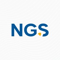 NEXT GENERATION SERVICES logo - Similar company to Normasys