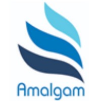 Amalgam Groups logo - Similar company to Red Dot Electromechanical Llc
