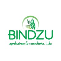 Bindzu Agrobusiness e Consultoria Lda logo - Similar company to Gapi - Sociedade De Investimentos