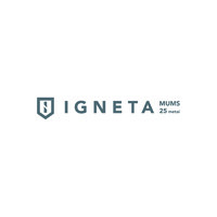 Igneta - Quality sheet metal services logo - Similar company to Europcar Lithuania