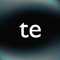 testudio logo - Similar company to ClimbingFish Visual