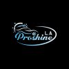 Proshine L.A logo - Similar company to Kiima