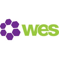 Women's Engineering Society logo - Similar company to Fliss - Free Mentoring For Women In Stem