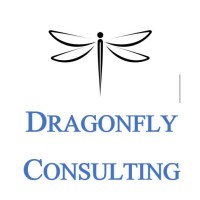 Dragonfly Consulting Services, LLC. logo - Similar company to Loft39