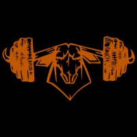 Longhorn Powerlifting logo - Similar company to Apple Sport Auto Group