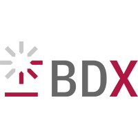 Base Digitale Experience logo - Similar company to Bds S.P.A.